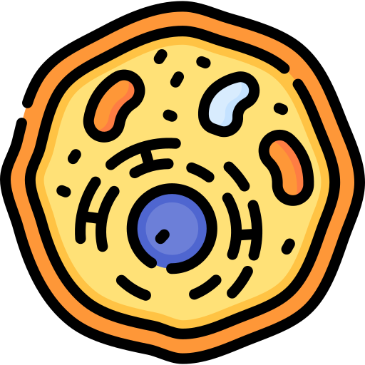 Cell Structure & Function